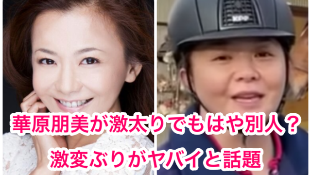 衝撃画像 華原朋美21現在が激太りで激変 劣化 若い頃と別人と話題 乗馬 アウトデラックス 世の中の気になるニュースやスポーツ 芸能人 の顔変わった 整形疑惑 痩せた 太った 老けた 劣化をわかりやす