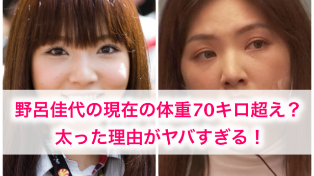 21 野呂佳代の現在の体重70キロ 太った理由がヤバイ 可愛いakb時代も 画像 世の中の気になるニュースやスポーツ 芸能人 の顔変わった 整形疑惑 痩せた 太った 老けた 劣化をわかりやす